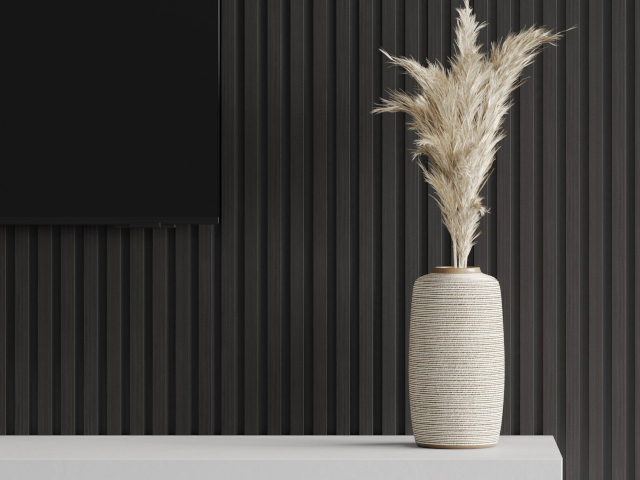 Juodosios lamelės kambaryje