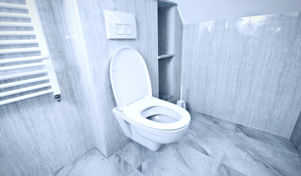 Kokį WC potinkinio rėmą pasirinkti?