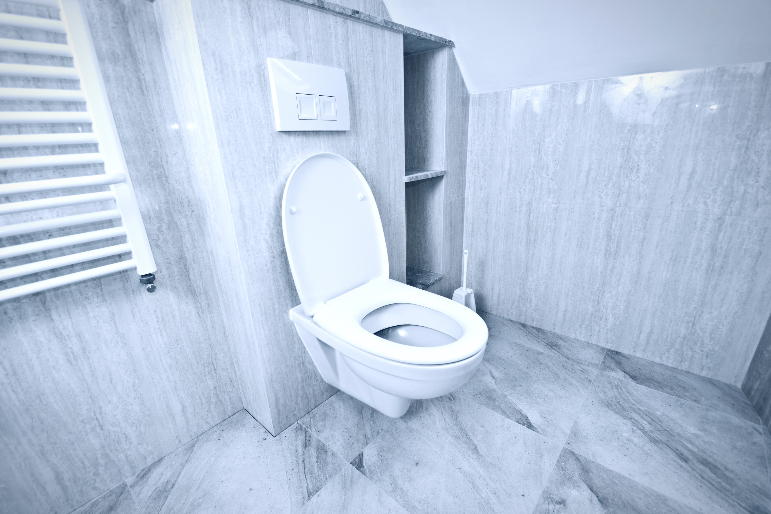 Kokį WC potinkinio rėmą pasirinkti?