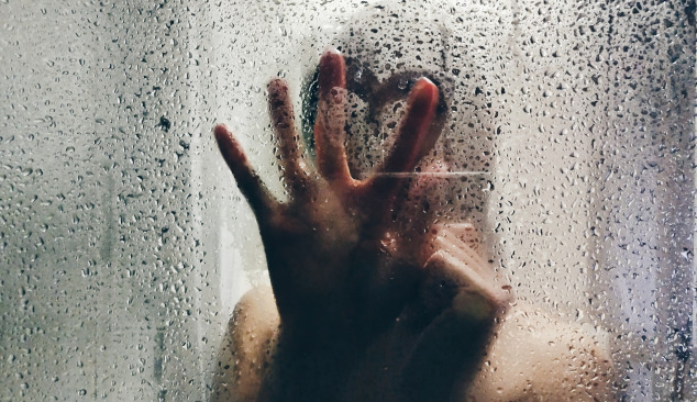 Ideali dušo kabina - sapnas ar tikrovė?