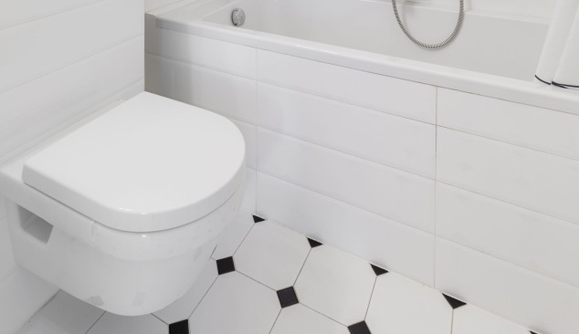 Pakabinamas ar stovimas tualeto dubuo?