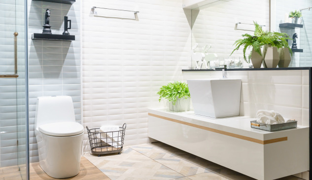 WC dubuo - geriau pastatomas ar kabinamas?