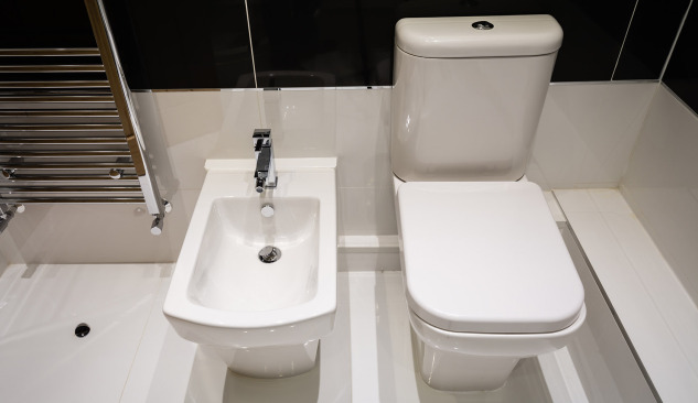 Kodėl verta investuoti į plovimo WC dangtį?