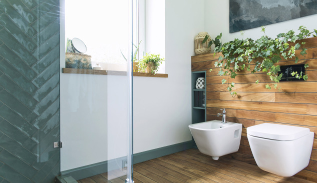 Bidė vonios kambariui - ką verta apie jį žinoti?