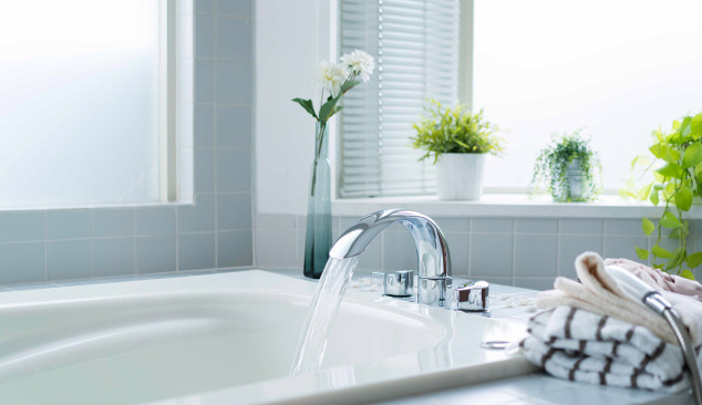 Į ką atkreipti dėmesį perkant vonią?