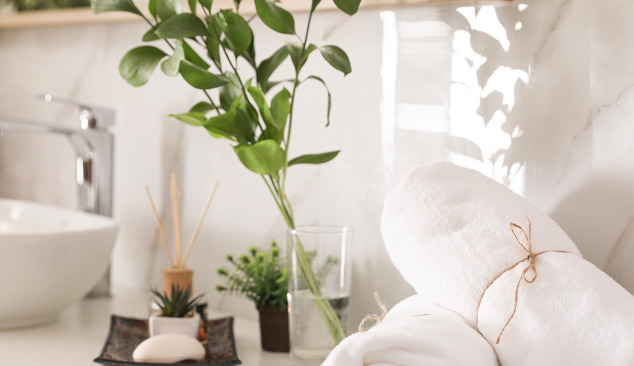 Kokius augalus galima laikyti vonioje?