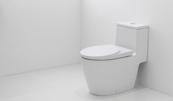 Kaip priderinti WC dubenį prie interjero?
