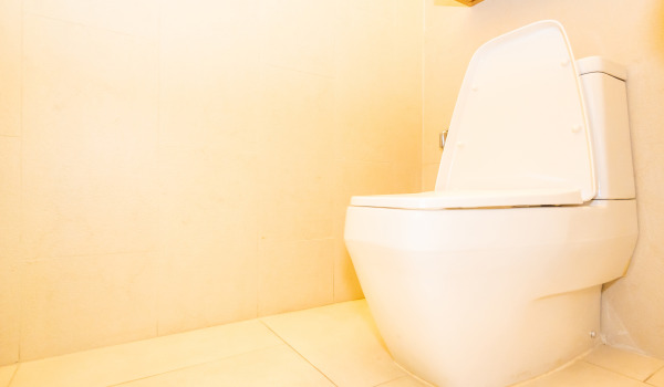 Kokį potinkinį rinkinį WC pasirinkti?